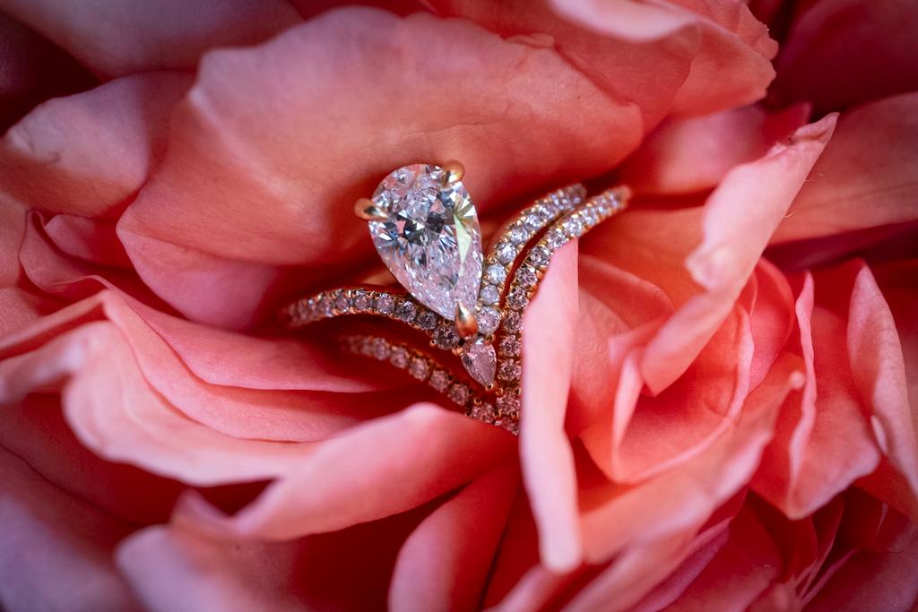 Close-up of a pear-cut diamond engagement ring and bands nestled within soft pink rose petals